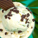 Mint Chocolate Chip Magic: The Cool History & Flavor Fun